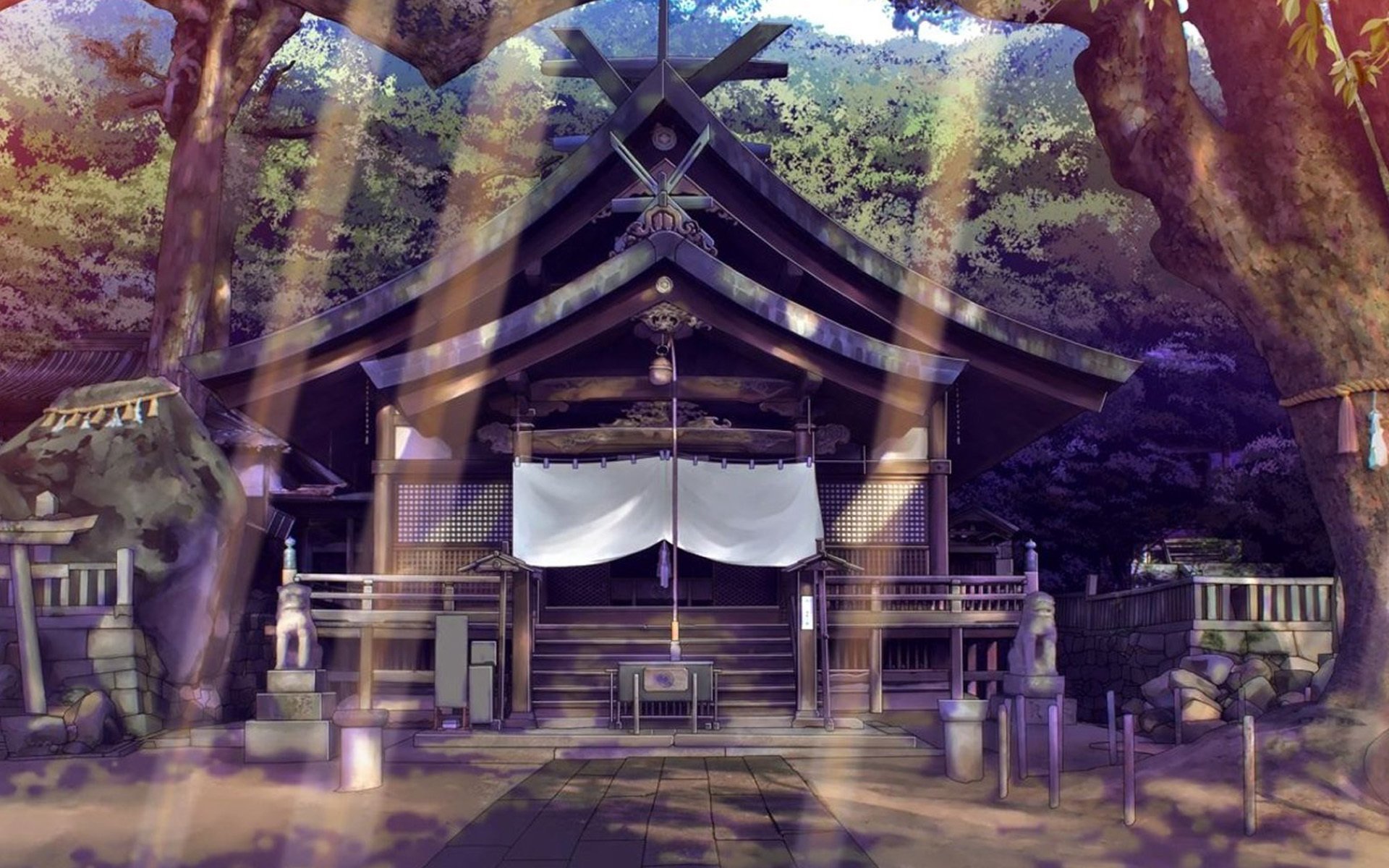 天美直播干啥